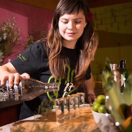 Cactus Hostel & Suites 瓜纳华托 外观 照片