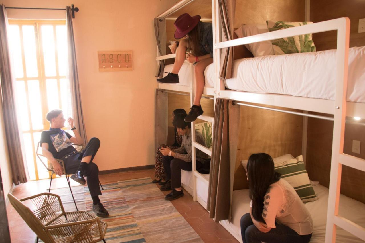 Cactus Hostel & Suites 瓜纳华托 外观 照片